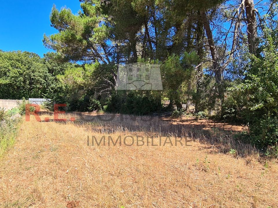 Villa a Martina Franca, Taranto - foto 4