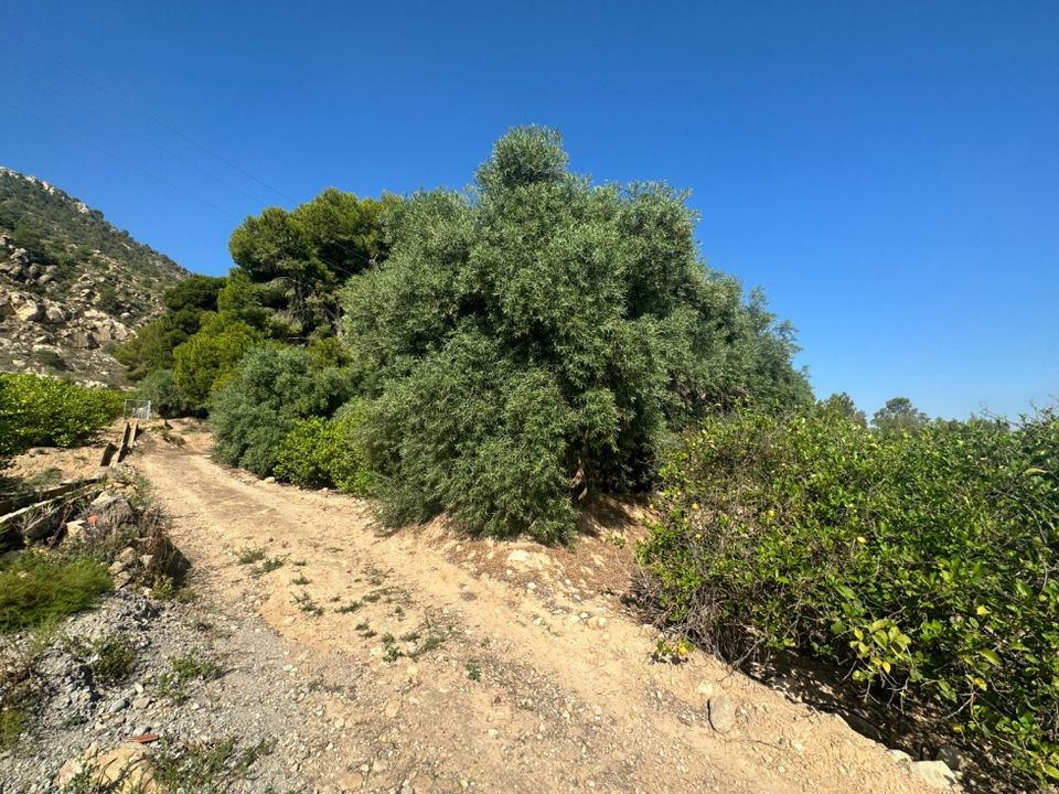 Helårsgrund i Blanca, Murcia - foto 2