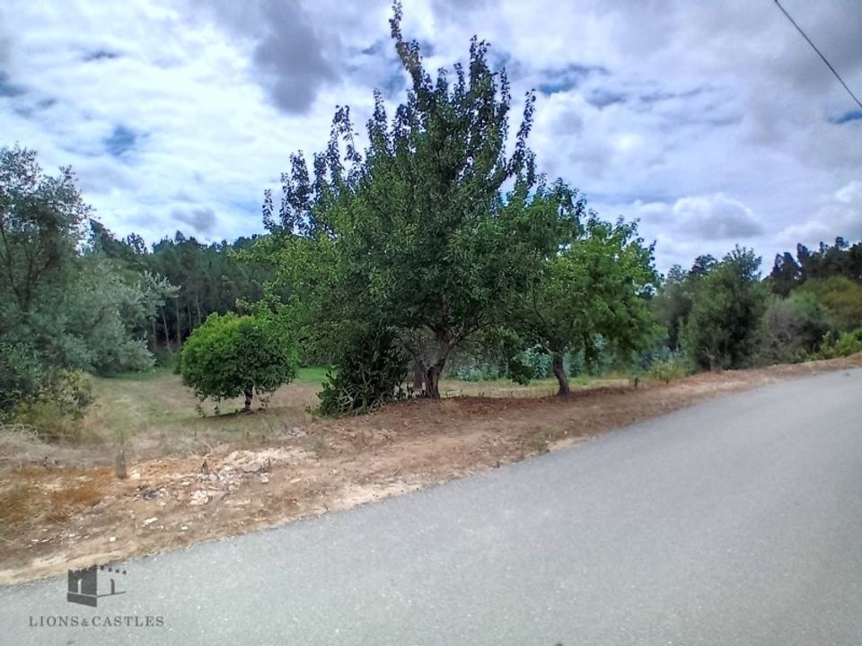 Helårsgrund i Pombal, Leiria - foto 2