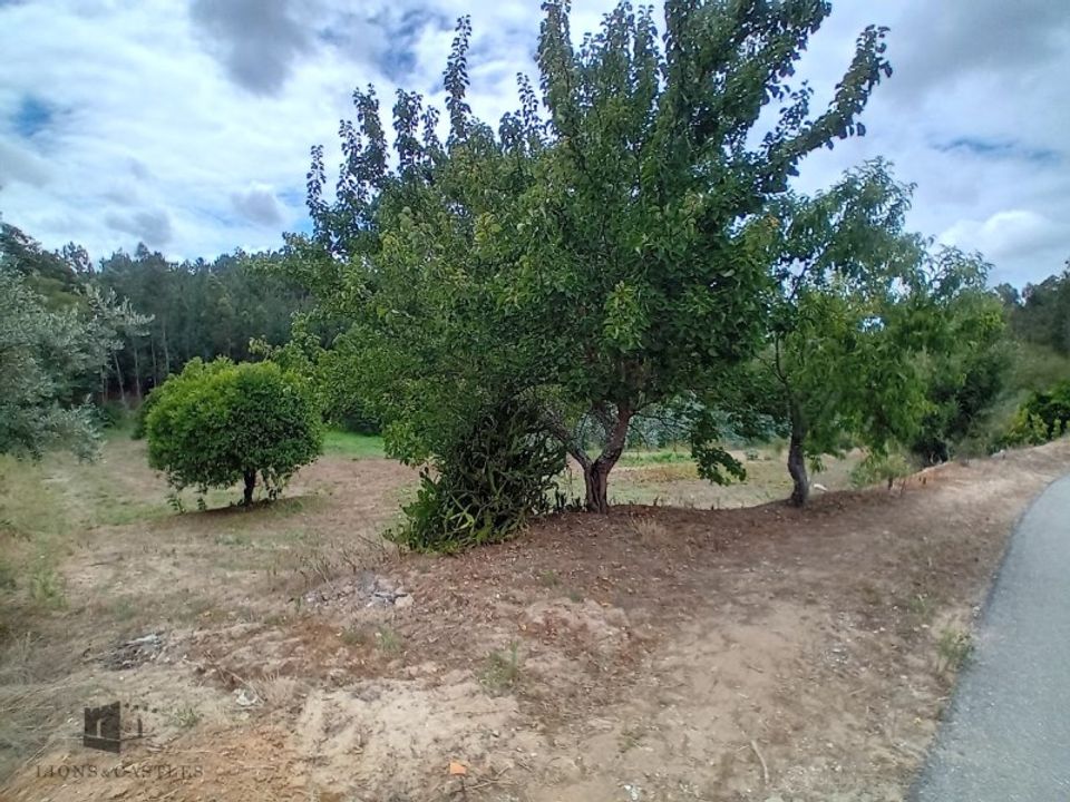 Helårsgrund i Pombal, Leiria - foto 3