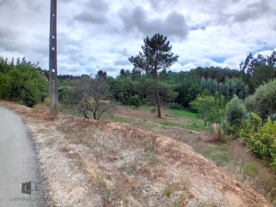 Helårsgrund i Pombal, Leiria - foto 4