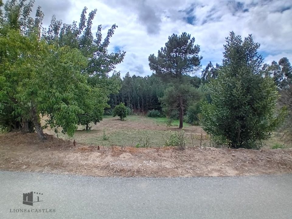 Helårsgrund i Pombal, Leiria - foto 5