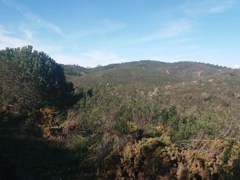 Farm i Barao de Sao Joao, Faro - foto 3