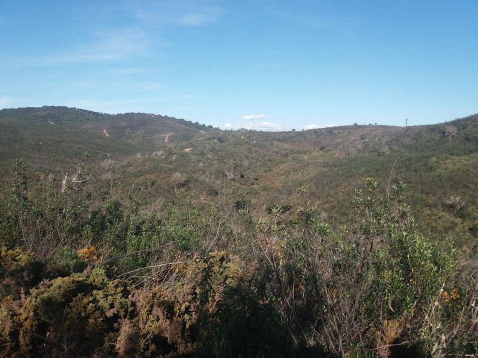 Farm i Barao de Sao Joao, Faro - foto 5