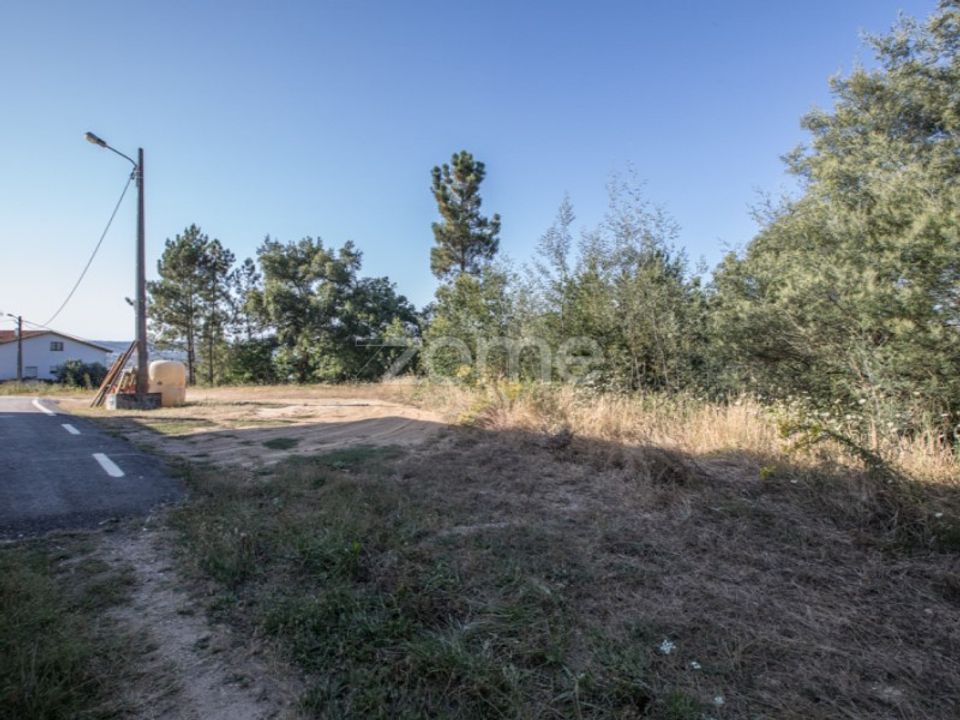 Helårsgrund i Arganil, Coimbra - foto 5