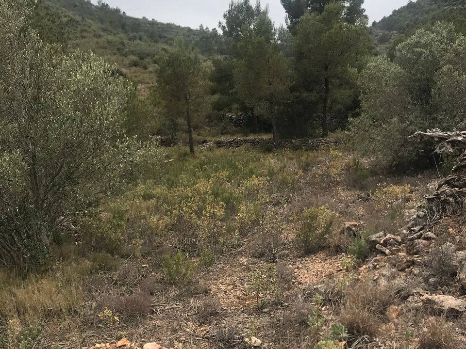 Finca i Benifallet, Tarragona - foto 3