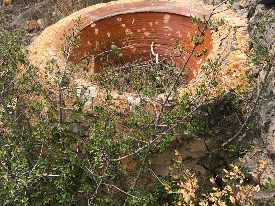 Finca i Benifallet, Tarragona - foto 4