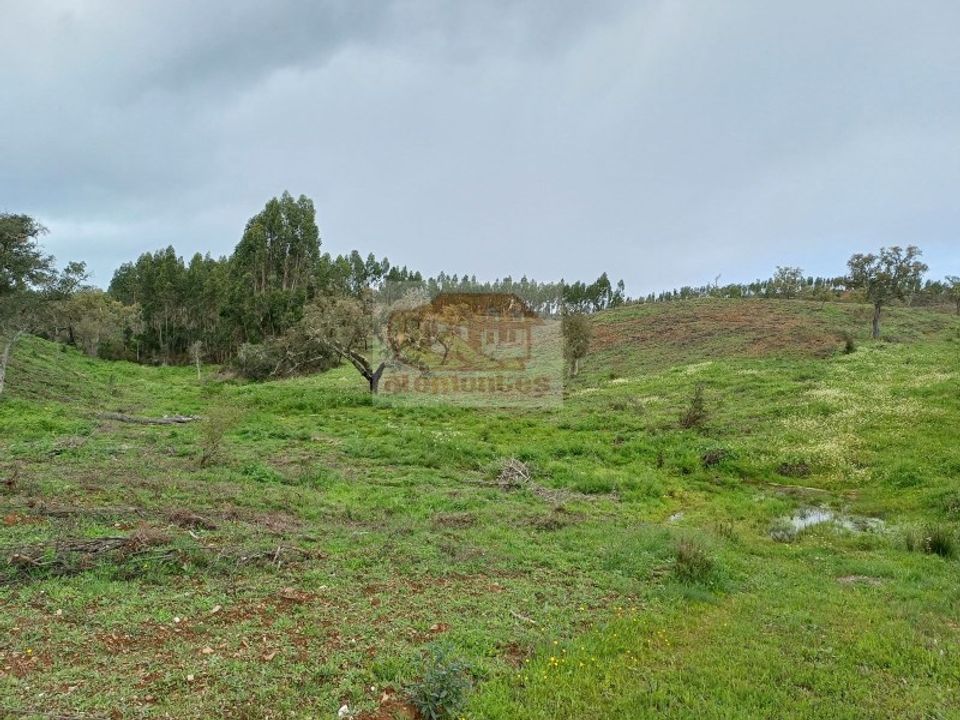 Helårsgrund i Sao Domingos e Vale de Agua, Setubal - foto 3