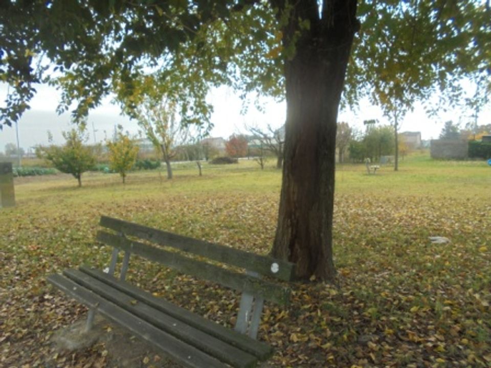 Helårsgrund i Stienta, Rovigo - foto 2