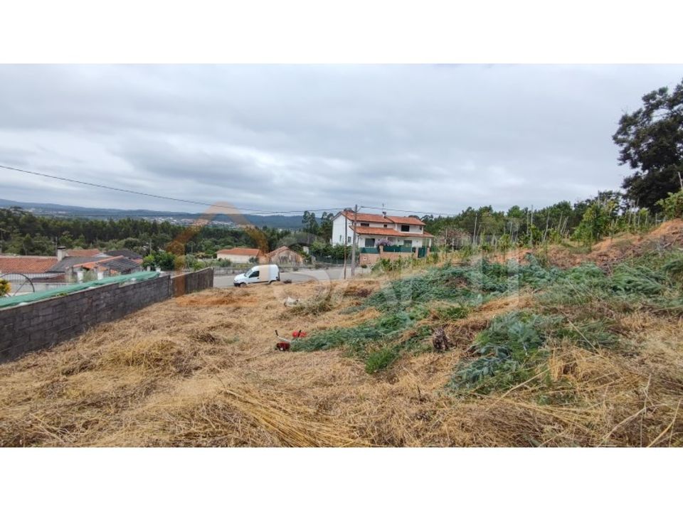 Helårsgrund i Condeixa-a-Nova, Coimbra - foto 1