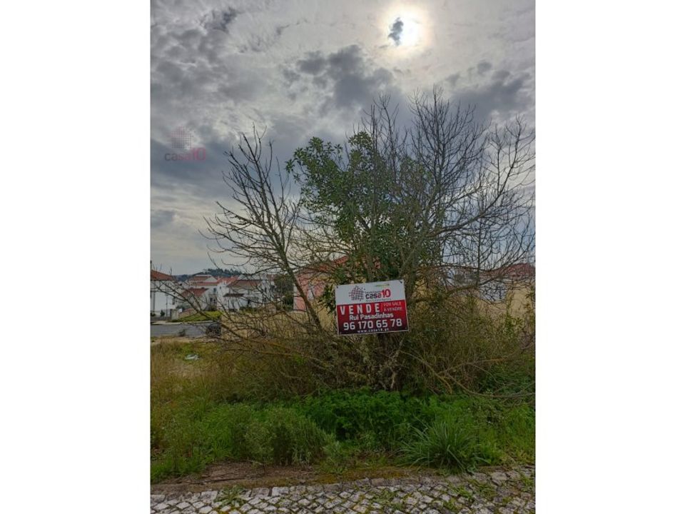 Helårsgrund i Almodovar, Beja - foto 3