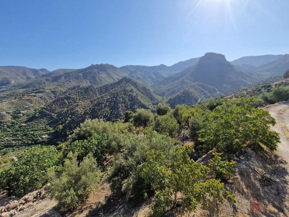 Finca i Guajar Alto, Granada - foto 3