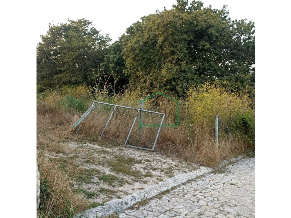 Helårsgrund i Vila Praia de Ancora, Viana do Castelo - foto 3