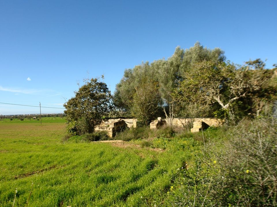 Terreno en Campos, Mallorca - foto 1