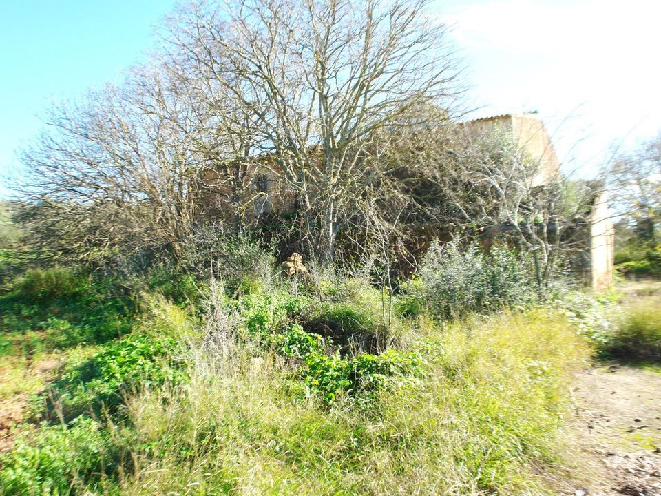Terreno en Campos, Mallorca - foto 2