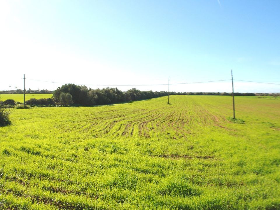 Terreno en Campos, Mallorca - foto 3