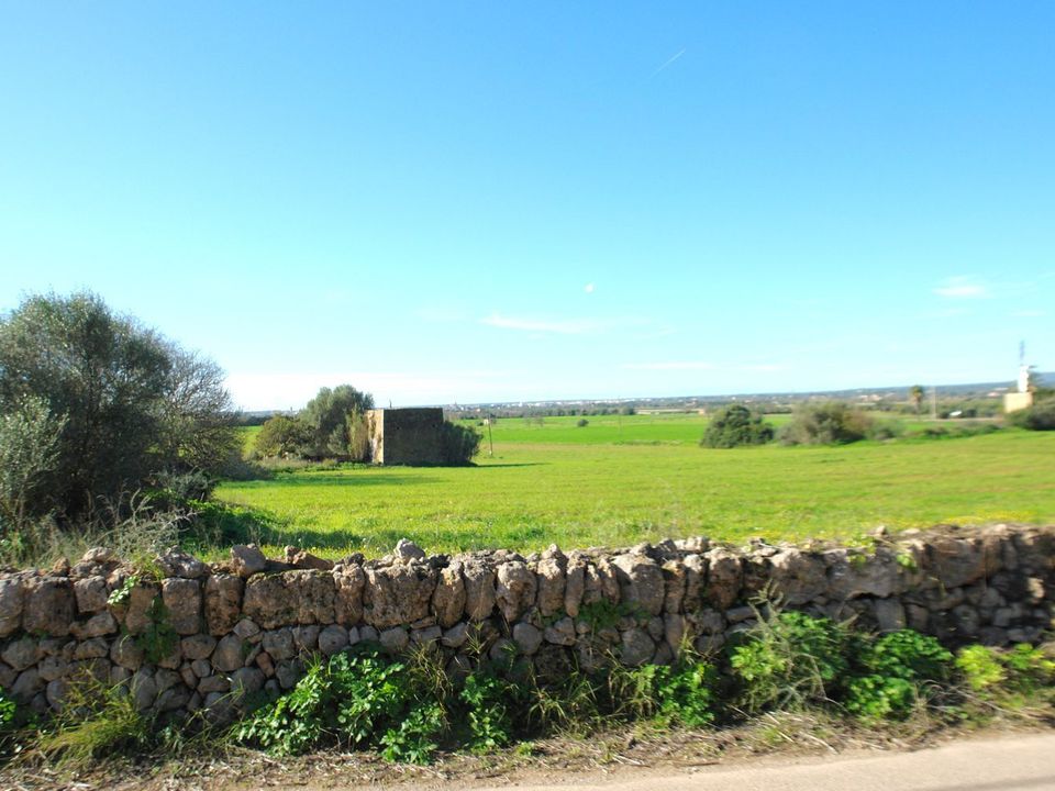 Terreno en Campos, Mallorca - foto 4
