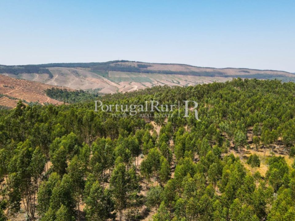 Landejendom i Estremoz, Evora - foto 3