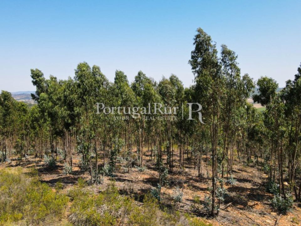 Landejendom i Estremoz, Evora - foto 4