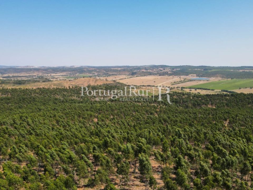 Landejendom i Estremoz, Evora - foto 5