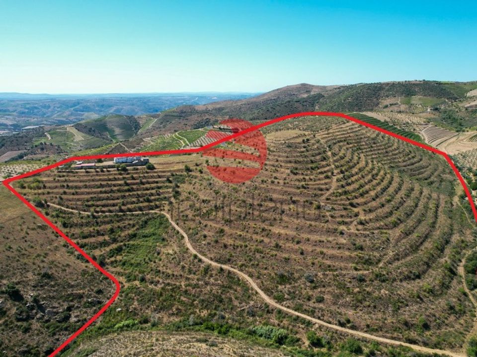 Farm i Freixo de Numao, Guarda - foto 1