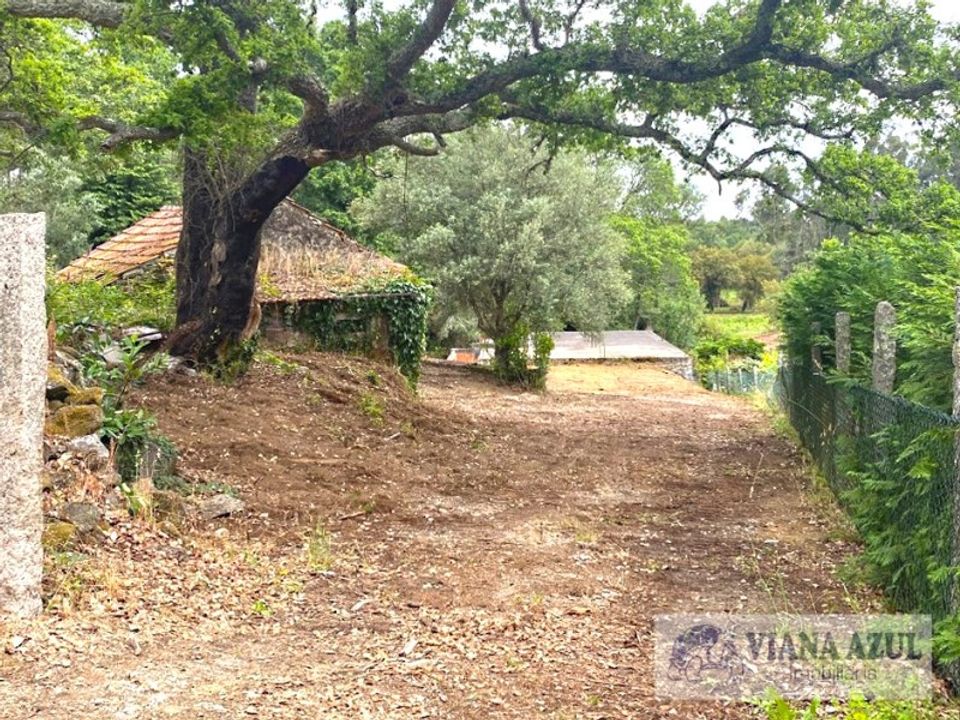 Farm i Reboreda e Nogueira, Viana do Castelo - foto 4