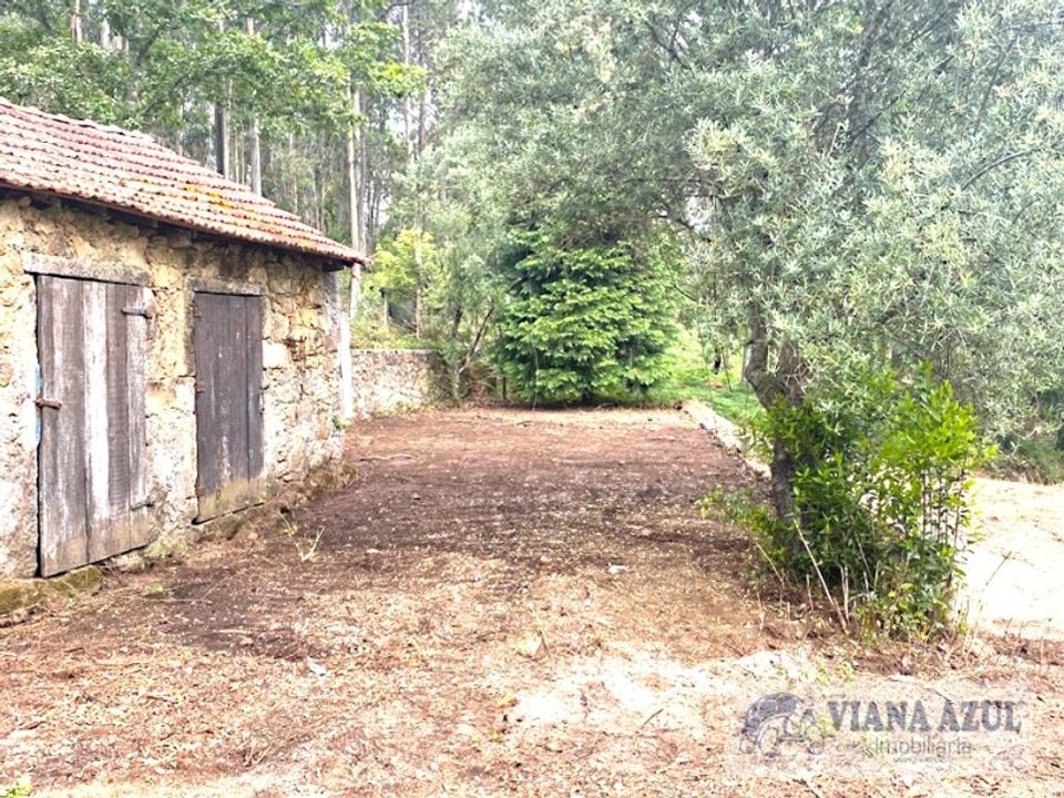 Farm i Reboreda e Nogueira, Viana do Castelo - foto 5