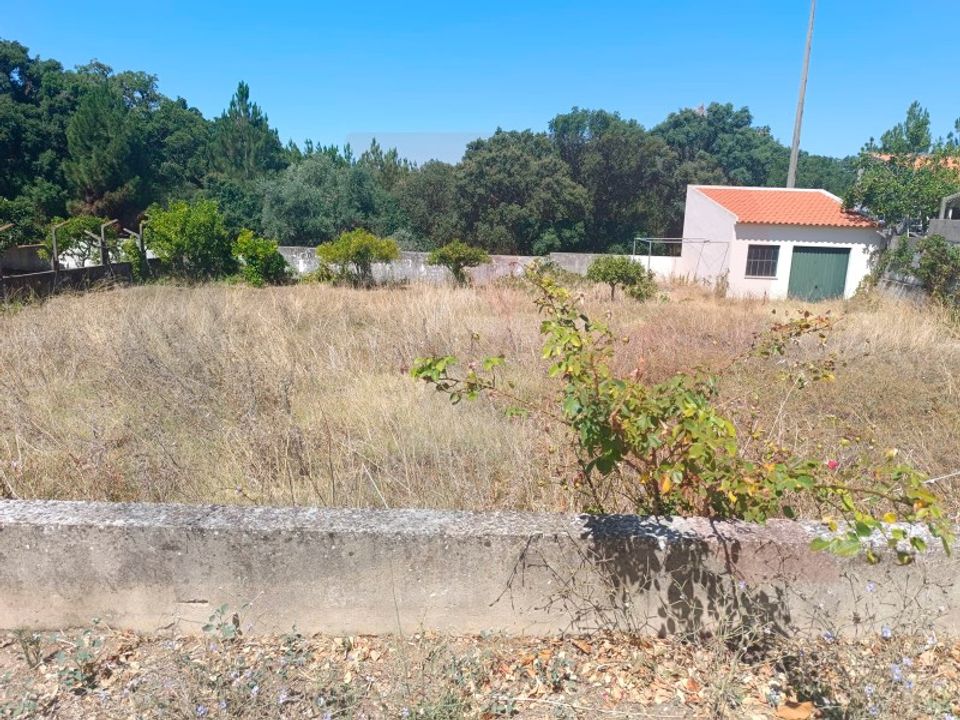 Helårsgrund i Torres Novas, Santarem - foto 2