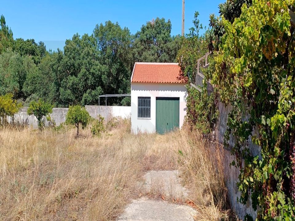 Helårsgrund i Torres Novas, Santarem - foto 3
