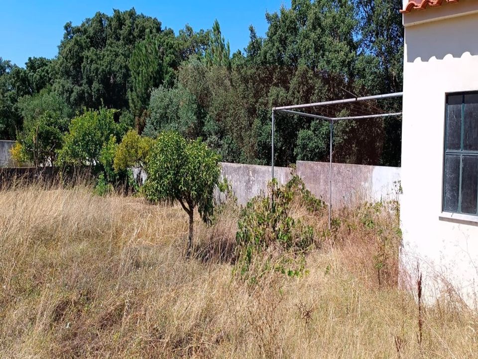 Helårsgrund i Torres Novas, Santarem - foto 4