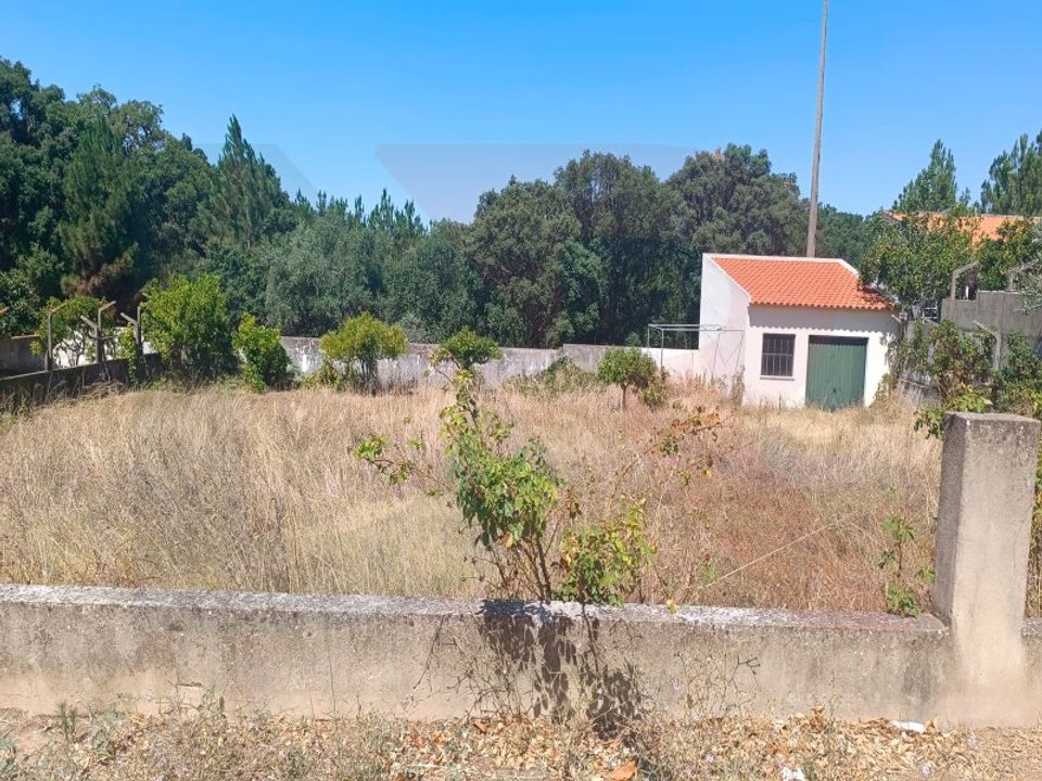 Helårsgrund i Torres Novas, Santarem - foto 5