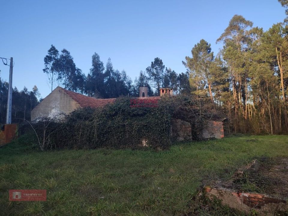Villa i Batalha, Leiria - foto 2