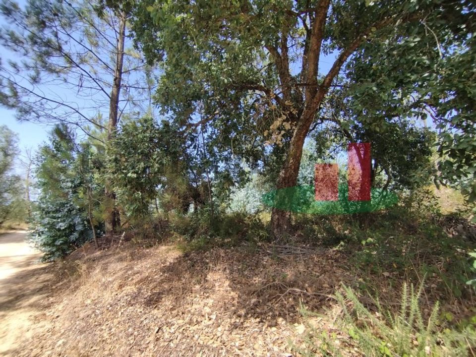 Helårsgrund i Rio Maior, Santarem - foto 2