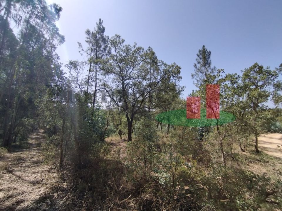 Helårsgrund i Rio Maior, Santarem - foto 1