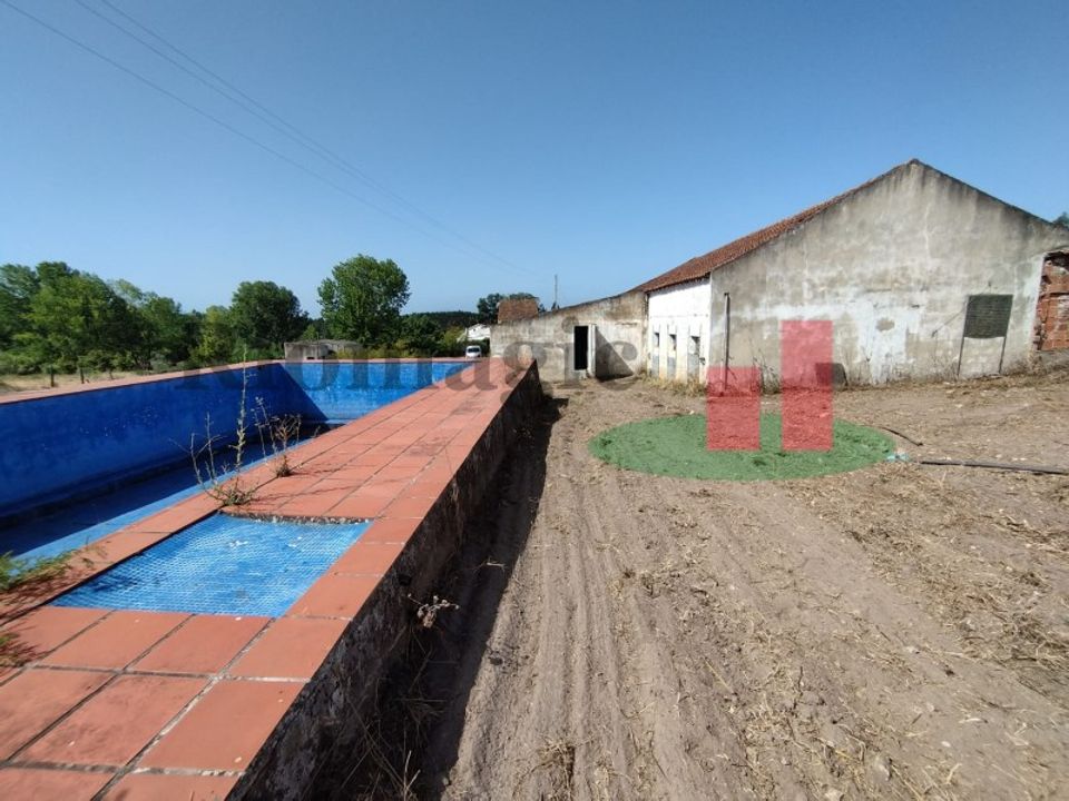 Farm i Rio Maior, Santarem - foto 3