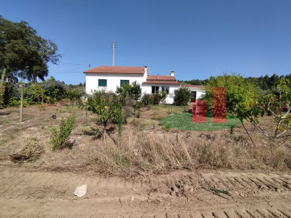 Farm i Rio Maior, Santarem - foto 1