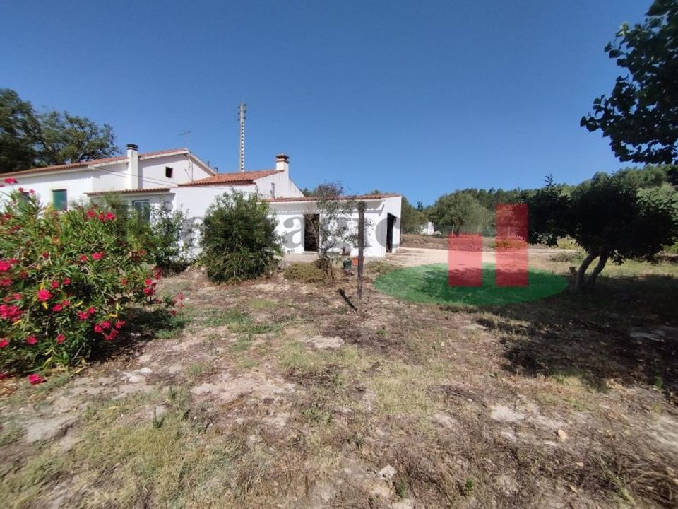 Farm i Rio Maior, Santarem - foto 4