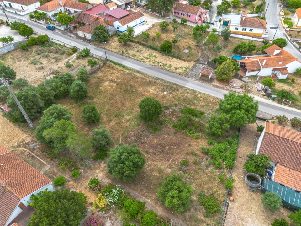 Helårsgrund i Torres Novas, Santarem - foto 5