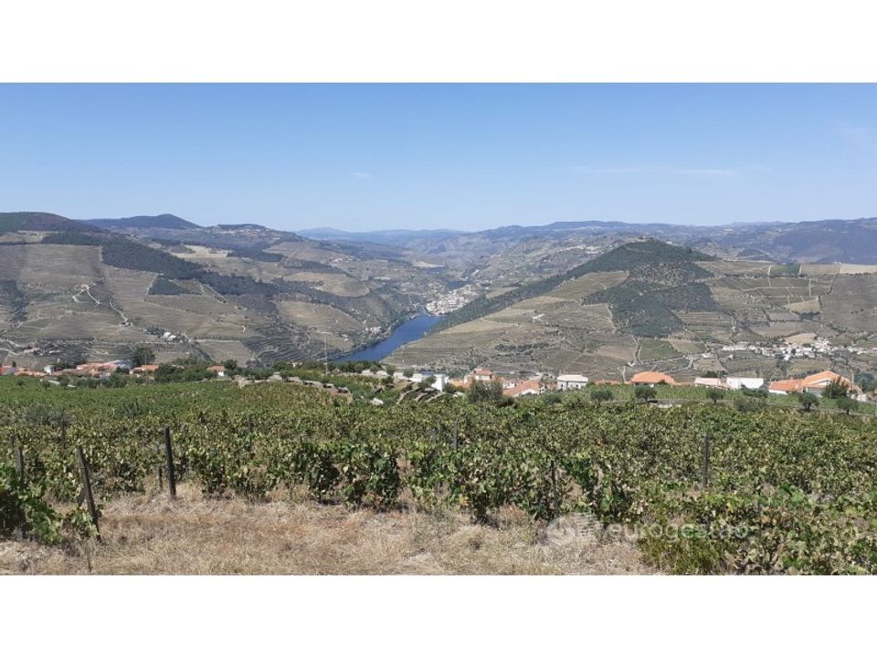 Farm i Valenca do douro, Viseu - foto 1