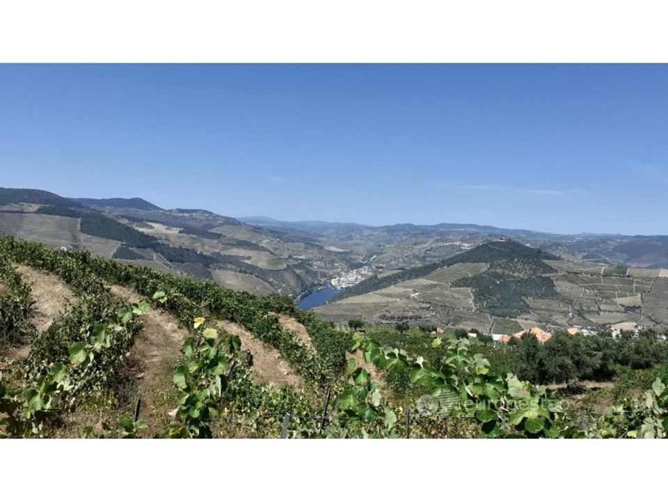 Farm i Valenca do douro, Viseu - foto 4