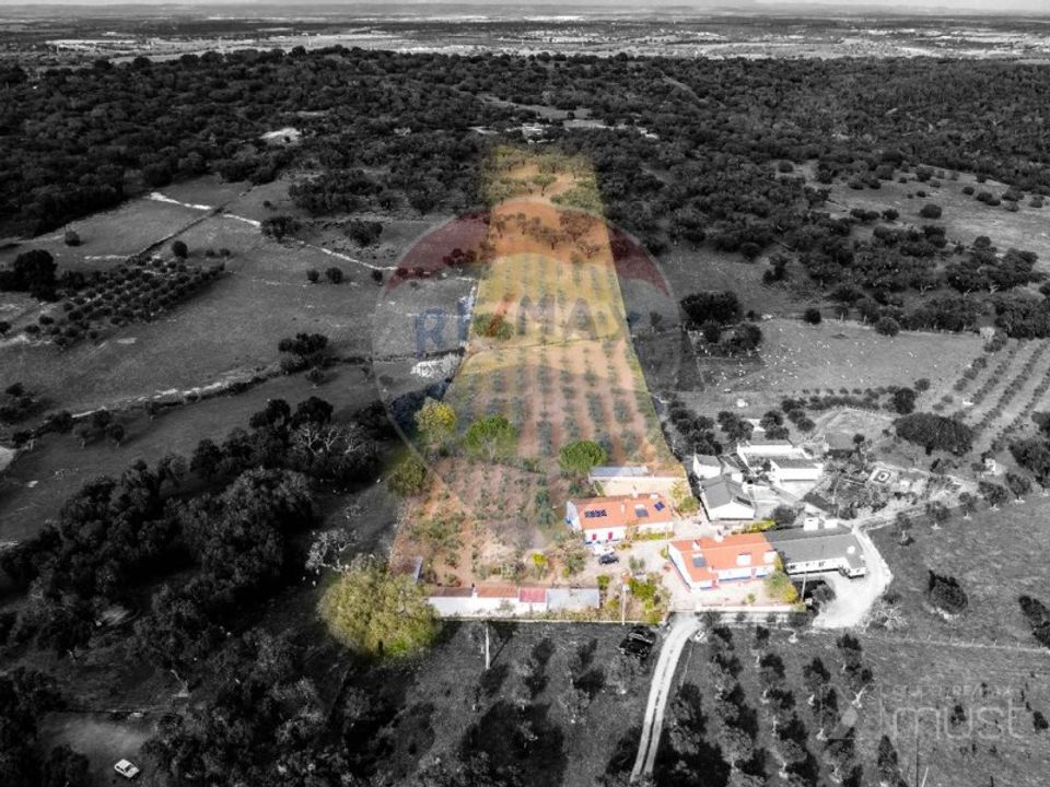 Farm i Estremoz, Evora - foto 2