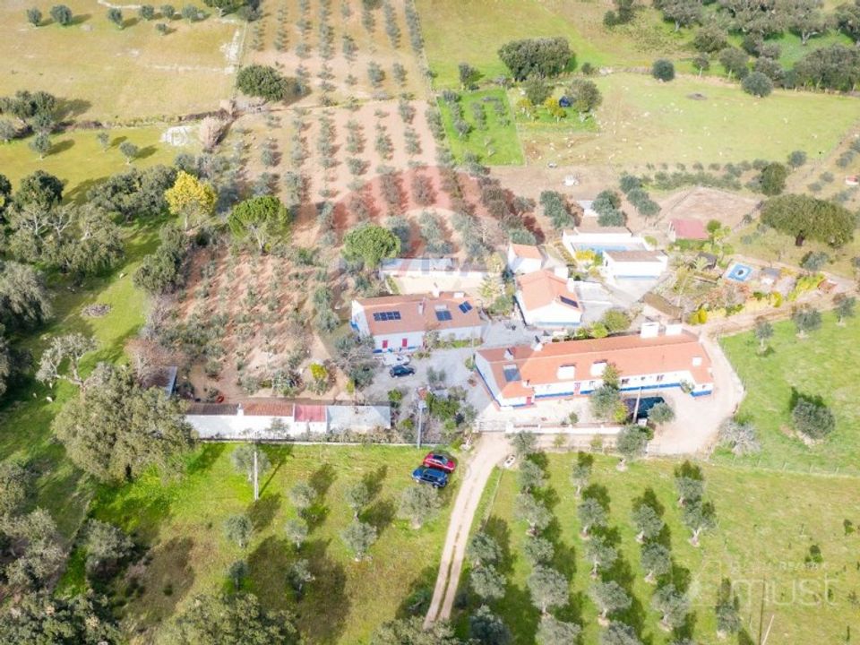 Farm i Estremoz, Evora - foto 4