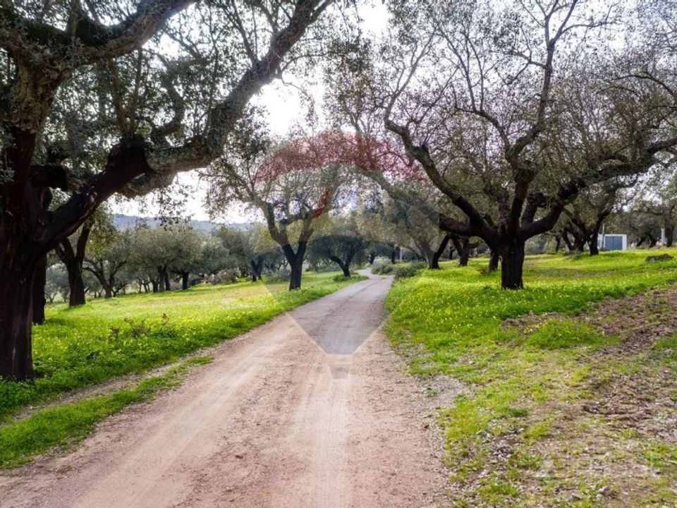 Farm i Estremoz, Evora - foto 5