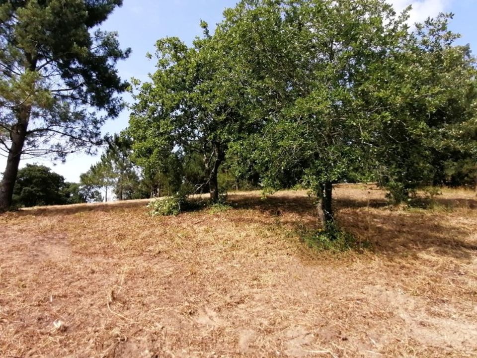 Helårsgrund i Obidos, Leiria - foto 4