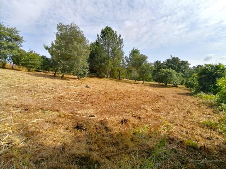 Helårsgrund i Obidos, Leiria - foto 1