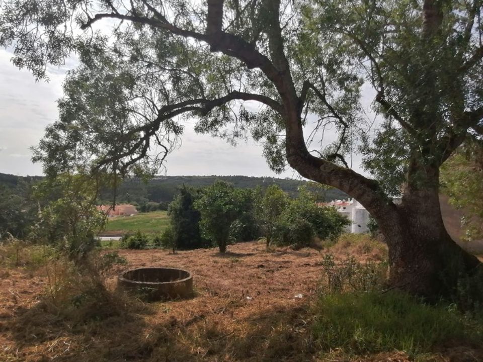 Helårsgrund i Obidos, Leiria - foto 3