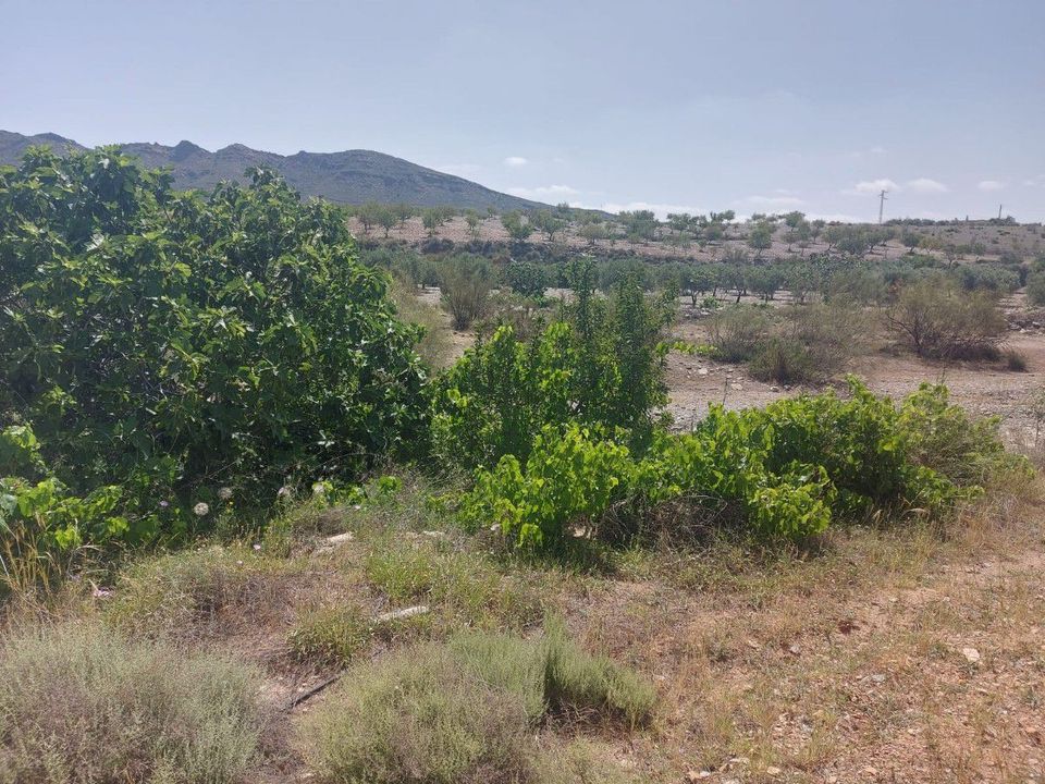 Helårsgrund i Sorbas, Almeria - foto 1