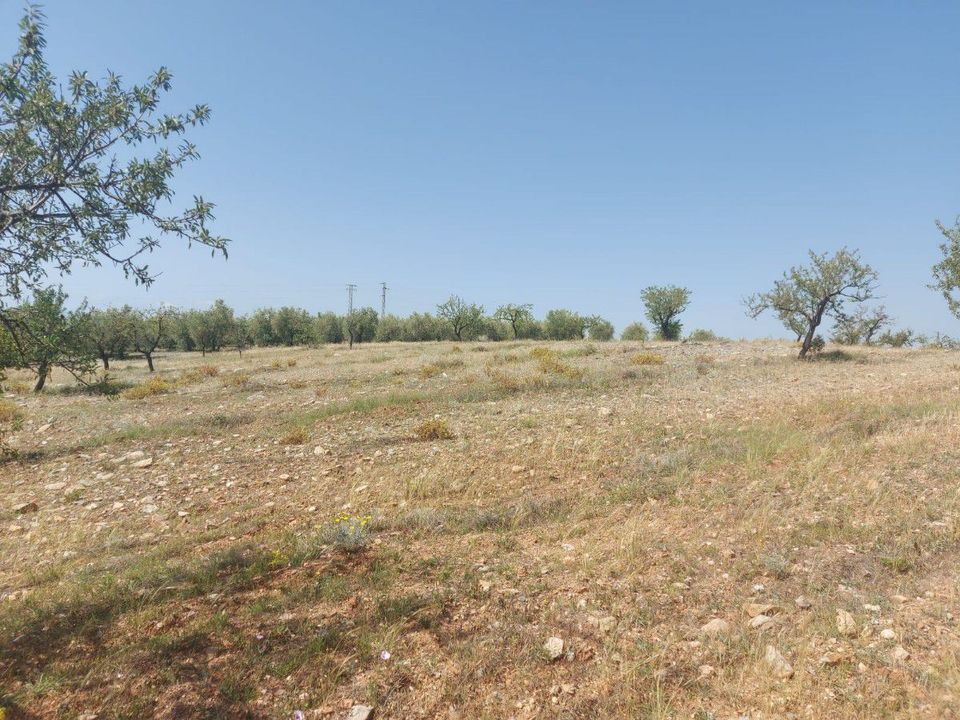Helårsgrund i Sorbas, Almeria - foto 2