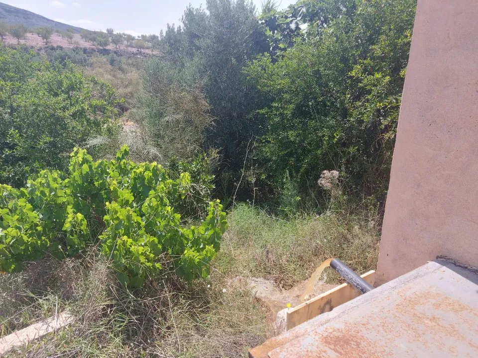 Helårsgrund i Sorbas, Almeria - foto 3