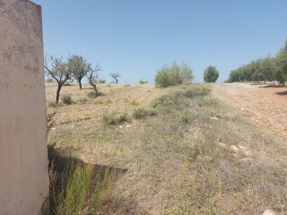 Helårsgrund i Sorbas, Almeria - foto 4